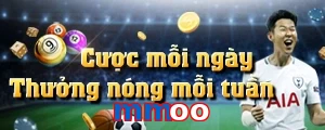 mmoo